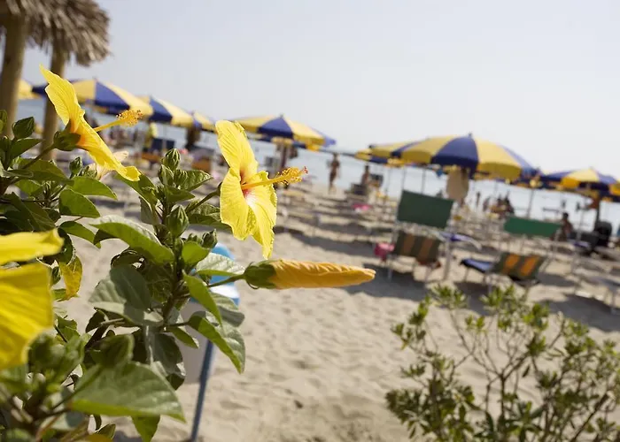 Long Village On The Sea With Private Included 4* Lido Adriano